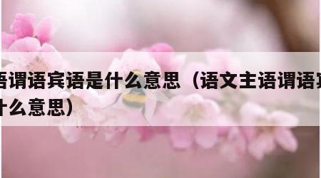主语谓语宾语是什么意思（语文主语谓语宾语是什么意思）
