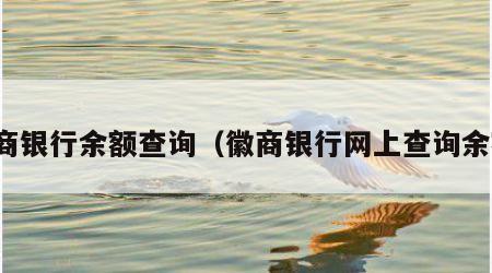 徽商银行余额查询（徽商银行网上查询余额）