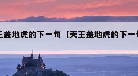 天王盖地虎的下一句（天王盖地虎的下一句是啥）