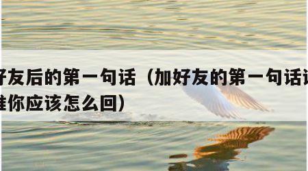加好友后的第一句话（加好友的第一句话说你是谁你应该怎么回）