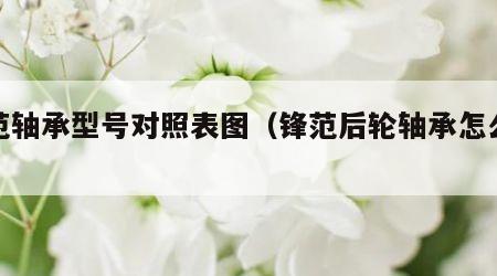 锋范轴承型号对照表图（锋范后轮轴承怎么拆）