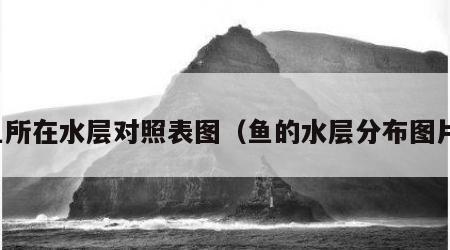 鱼所在水层对照表图（鱼的水层分布图片）