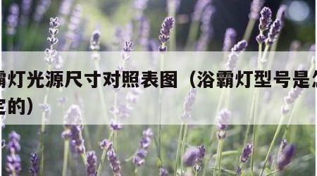 浴霸灯光源尺寸对照表图（浴霸灯型号是怎么规定的）