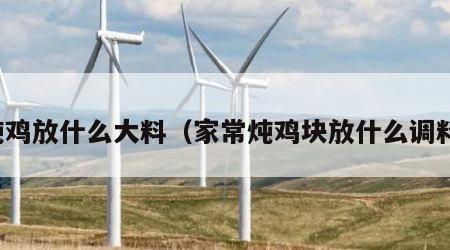 炖鸡放什么大料（家常炖鸡块放什么调料）