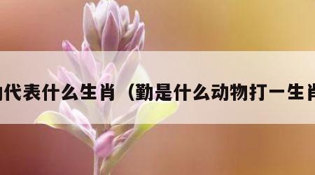 勤代表什么生肖（勤是什么动物打一生肖）