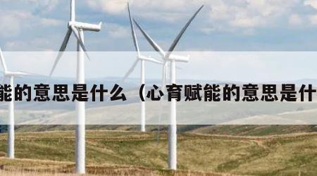 赋能的意思是什么（心育赋能的意思是什么）