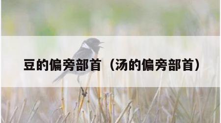 豆的偏旁部首（汤的偏旁部首）