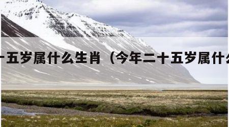 二十五岁属什么生肖（今年二十五岁属什么生肖）