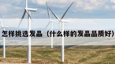怎样挑选发晶（什么样的发晶品质好）