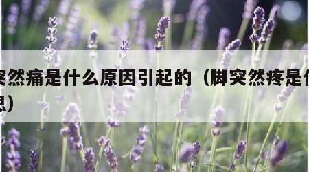 脚突然痛是什么原因引起的（脚突然疼是什么意思）