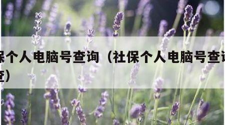 社保个人电脑号查询（社保个人电脑号查询怎么查）