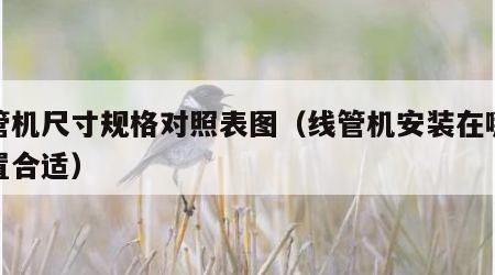 线管机尺寸规格对照表图（线管机安装在哪个位置合适）