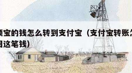 余额宝的钱怎么转到支付宝（支付宝转账怎么撤回这笔钱）
