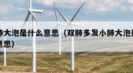 小肺大泡是什么意思（双肺多发小肺大泡是什么意思）