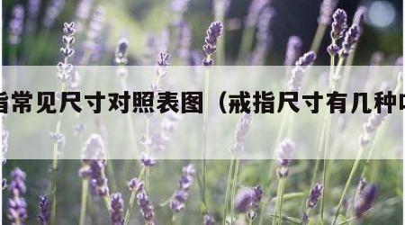 戒指常见尺寸对照表图（戒指尺寸有几种叫法）