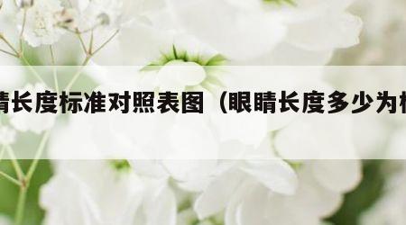 眼睛长度标准对照表图（眼睛长度多少为标准）