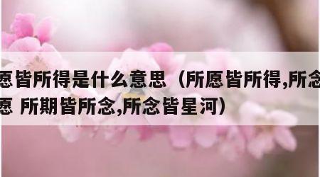 所愿皆所得是什么意思（所愿皆所得,所念皆所愿 所期皆所念,所念皆星河）