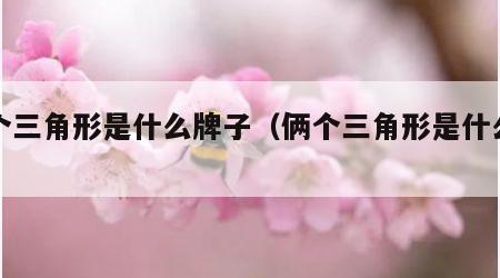 两个三角形是什么牌子（俩个三角形是什么牌子）