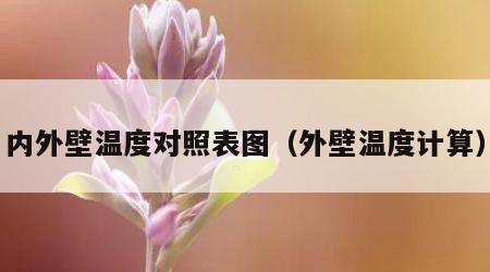 内外壁温度对照表图（外壁温度计算）