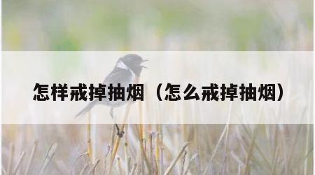 怎样戒掉抽烟（怎么戒掉抽烟）