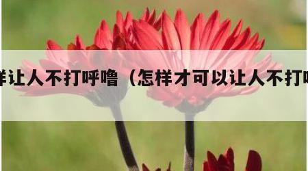 怎样让人不打呼噜（怎样才可以让人不打呼噜）