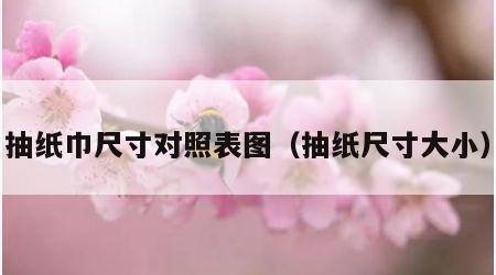 抽纸巾尺寸对照表图（抽纸尺寸大小）