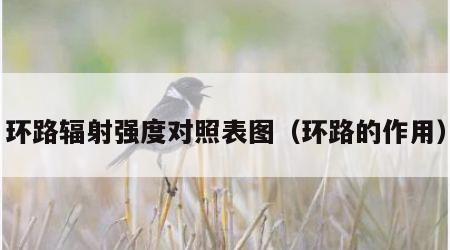 环路辐射强度对照表图（环路的作用）