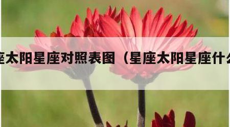 星座太阳星座对照表图（星座太阳星座什么意思）