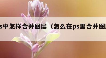 ps中怎样合并图层（怎么在ps里合并图层）