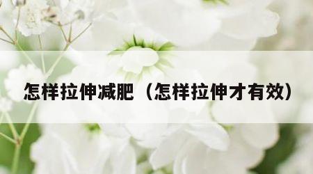 怎样拉伸减肥（怎样拉伸才有效）