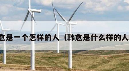 韩愈是一个怎样的人（韩愈是什么样的人呢）
