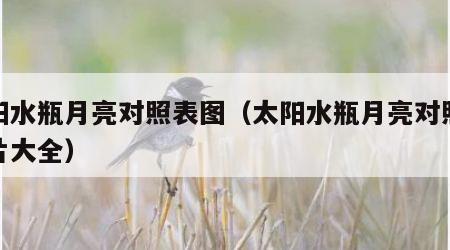 太阳水瓶月亮对照表图（太阳水瓶月亮对照表图片大全）