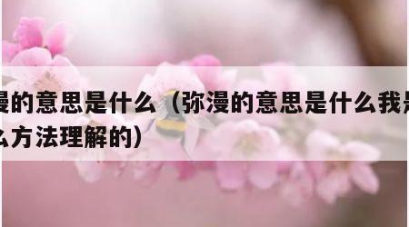 弥漫的意思是什么（弥漫的意思是什么我是用什么方法理解的）