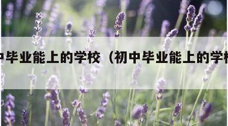 初中毕业能上的学校（初中毕业能上的学校排名）