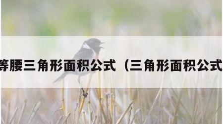 等腰三角形面积公式（三角形面积公式）