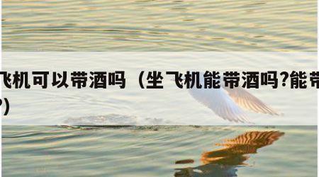 坐飞机可以带酒吗（坐飞机能带酒吗?能带几瓶?）