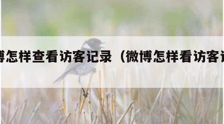 微博怎样查看访客记录（微博怎样看访客记录吗）