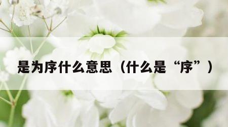 是为序什么意思（什么是“序”）