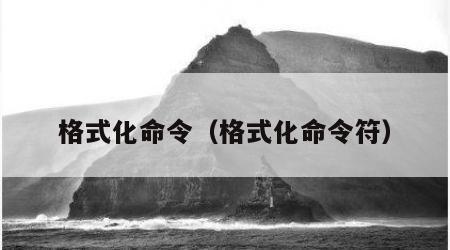 格式化命令（格式化命令符）