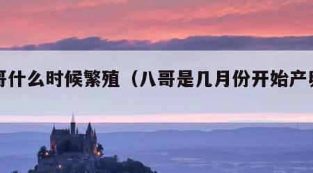 八哥什么时候繁殖（八哥是几月份开始产卵的）