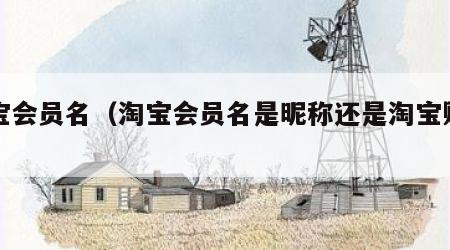 淘宝会员名（淘宝会员名是昵称还是淘宝账号）
