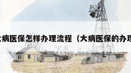 大病医保怎样办理流程（大病医保的办理）