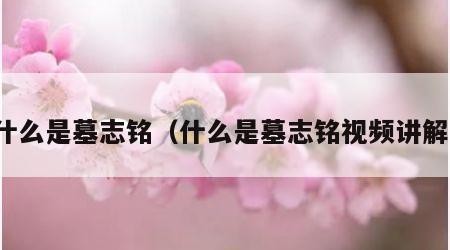 什么是墓志铭（什么是墓志铭视频讲解）