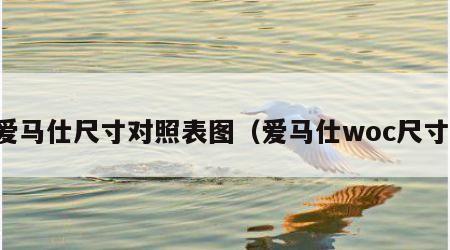 爱马仕尺寸对照表图（爱马仕woc尺寸）