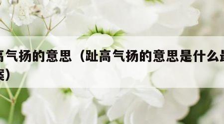 趾高气扬的意思（趾高气扬的意思是什么最佳答案）