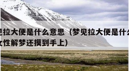 梦见拉大便是什么意思（梦见拉大便是什么意思女性解梦还摸到手上）