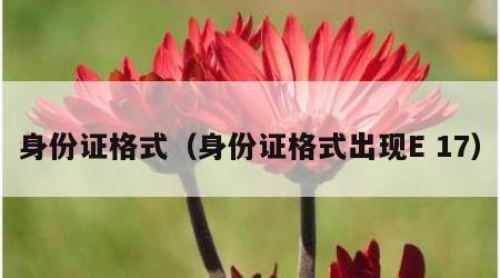 身份证格式（身份证格式出现E 17）