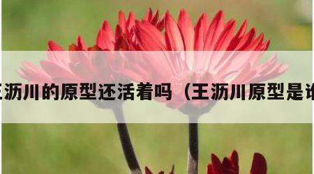 王沥川的原型还活着吗（王沥川原型是谁）