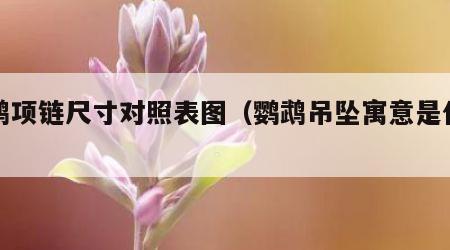 鹦鹉项链尺寸对照表图（鹦鹉吊坠寓意是什么）