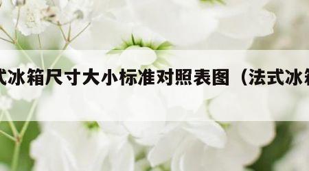 法式冰箱尺寸大小标准对照表图（法式冰箱图片）